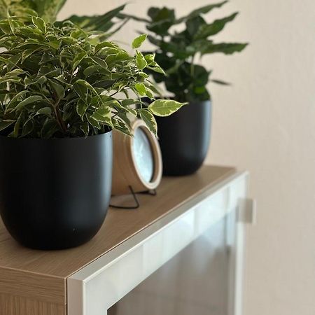 Appartement Elena Linz Zewnętrze zdjęcie